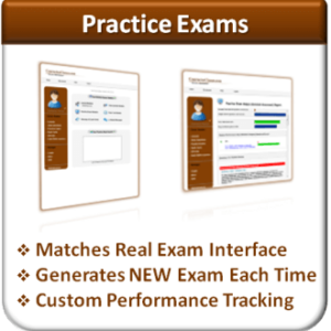 Practice Exams (Business & Finance)